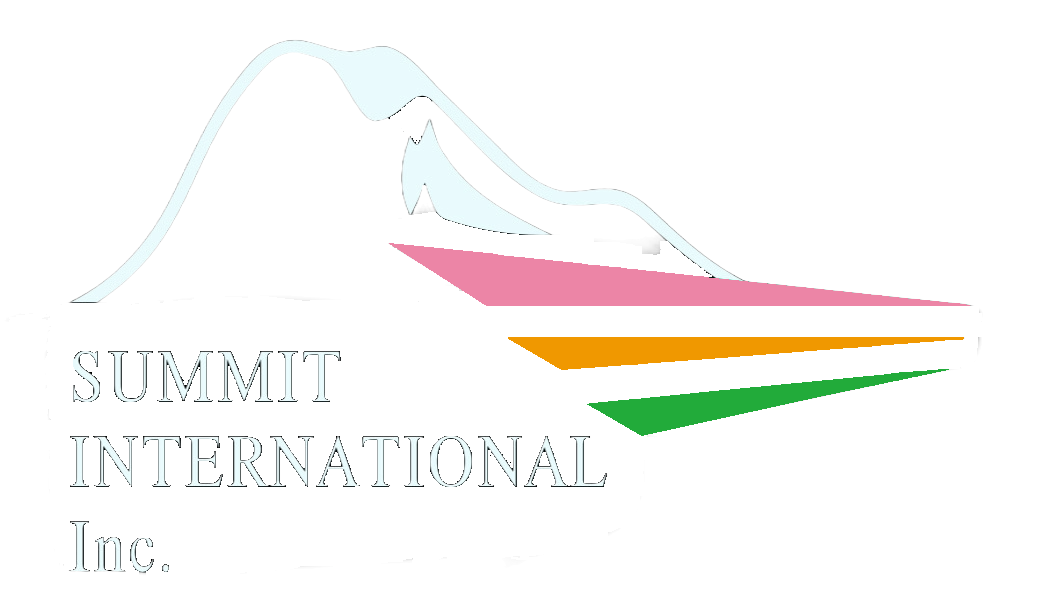 サミットインターナショナル 90s THE NORTH FACE Nuptse Summit Jacket 黒 L ノースフェイス